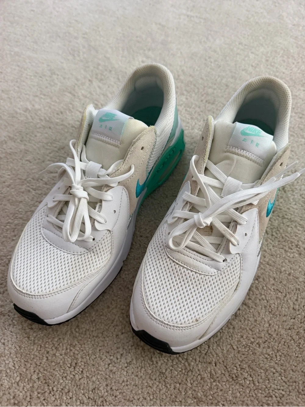 Nike Air Max Sneakers